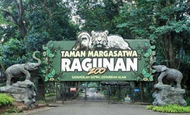 
					Sekitar 45 Ribu Pengunjung Padati Taman Margasatwa Ragunan.