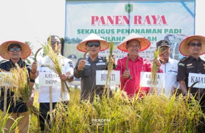 
 Ketua DPRD Meranti Hadiri Panen Raya Padi di Mekarbaru, Perkuat Komitmen Ketahanan Pangan