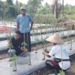 Dukung Ketahanan Pangan, Polisi di Meranti Turun Monitor Kebun Cabe Milik Kelompok Tani