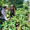 Wujudkan Ketahanan Pangan, Bhabinkamtibmas Tinjau Pekarangan Bergizi Milik Warga di Rangsang Barat