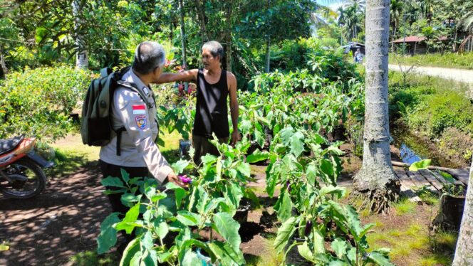 
 Wujudkan Ketahanan Pangan, Bhabinkamtibmas Tinjau Pekarangan Bergizi Milik Warga di Rangsang Barat