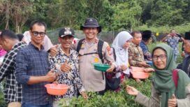 Polsek Tebing Tinggi Barat dan BUMDes Alai Selatan Panen Raya Cabai Rawit, Dukung Ketahanan Pangan Nasional. 