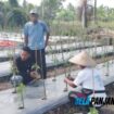 Dukung Ketahanan Pangan, Polisi di Meranti Turun Monitor Kebun Cabe Milik Kelompok Tani