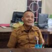 Meranti Dapat Program Bibit Kelapa dari Pusat, Namun 800 Hektare Lahan Tak Memenuhi Syarat