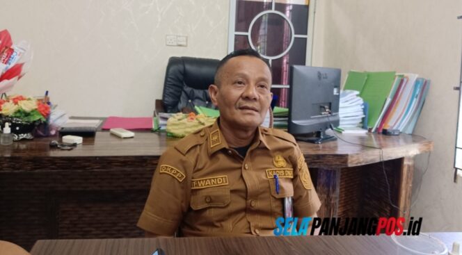
 Meranti Dapat Program Bibit Kelapa dari Pusat, Namun 800 Hektare Lahan Tak Memenuhi Syarat