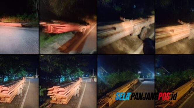 
 Kades Kundur Akui Tahu Warganya Jadi Pekerja, Pemilik Kayu Diduga Orang Luar