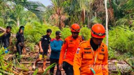 Tim gabungan mencari selamat di berbagai lokasi