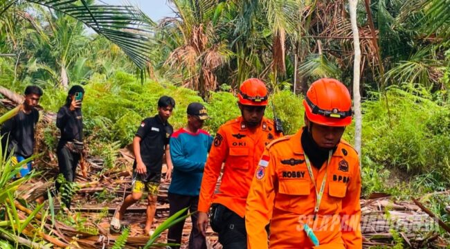 Tim gabungan mencari selamat di berbagai lokasi