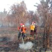 Tim Brigdalkarhutla PT NSP saat berjibaku memadamkan api dalam penanganan karhutla di Desa Gemalasari, Kecamatan Rangsang.