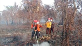 Tim Brigdalkarhutla PT NSP saat berjibaku memadamkan api dalam penanganan karhutla di Desa Gemalasari, Kecamatan Rangsang.