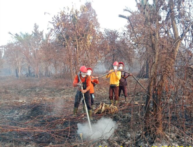 
 Tim Brigdalkarhutla PT NSP saat berjibaku memadamkan api dalam penanganan karhutla di Desa Gemalasari, Kecamatan Rangsang.